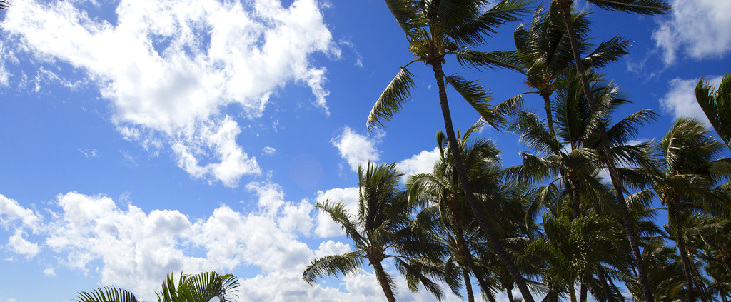 Blue Skies in Maui from Longhi vacation home