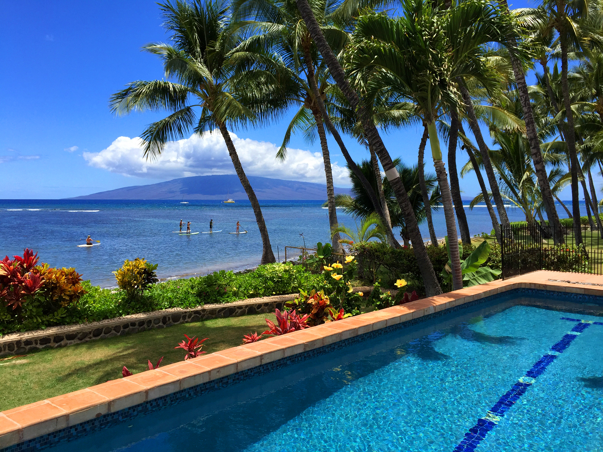 Paddle board dream in hawaii