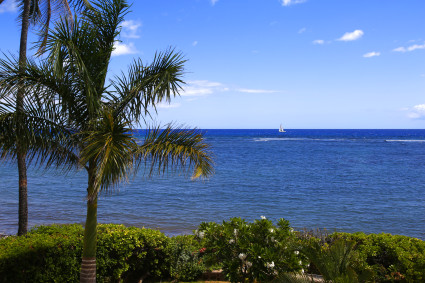 Maui vacation home view